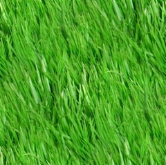 grass_seamless_pattern