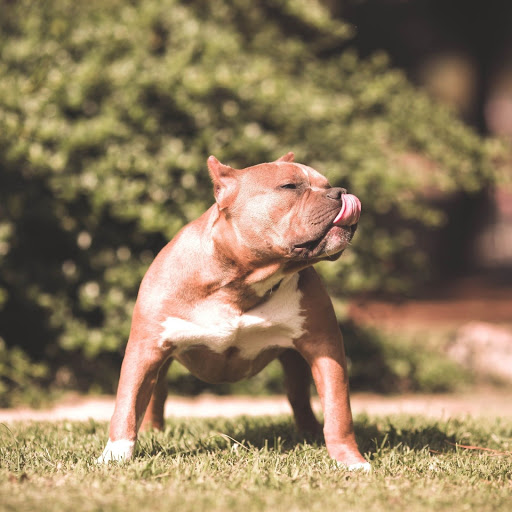 Hd-147231-ascw147231