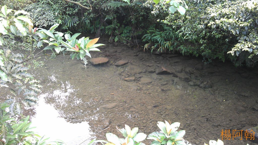 [0423-036---5.jpg]