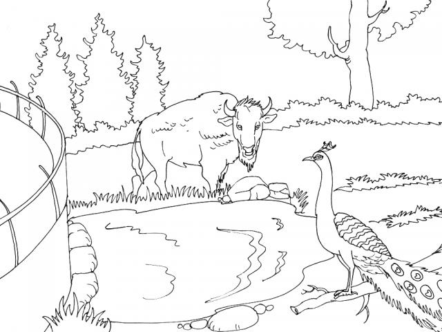 animals in the zoo coloring