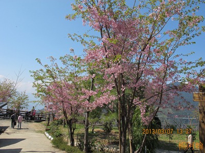 2013 恩愛農場 - 002