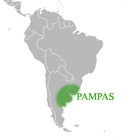 pampas1