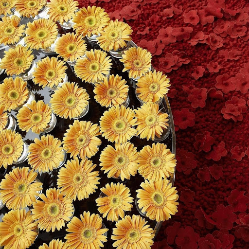 Hd-177136-ascw177136