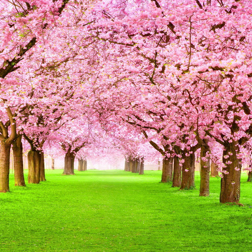 Hd-140290-ascw140290