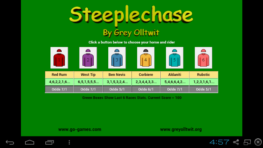 Steeplechase Horse Racing Screen 2