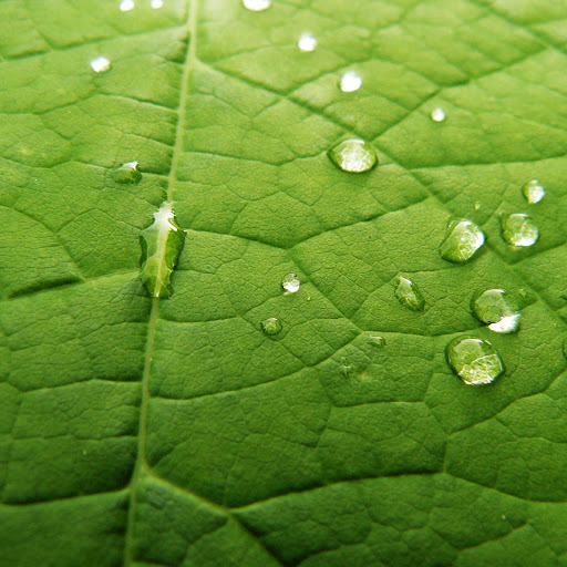 Hd-146508-ascw146508