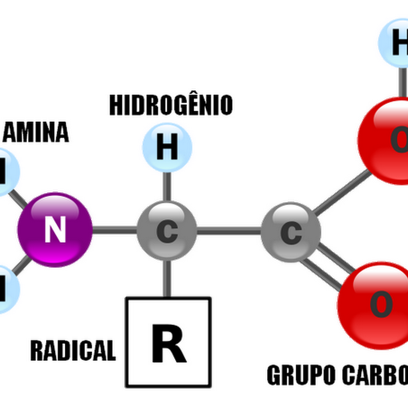 Qual A Estrutura Química De Um Aminoácido - Várias Estruturas