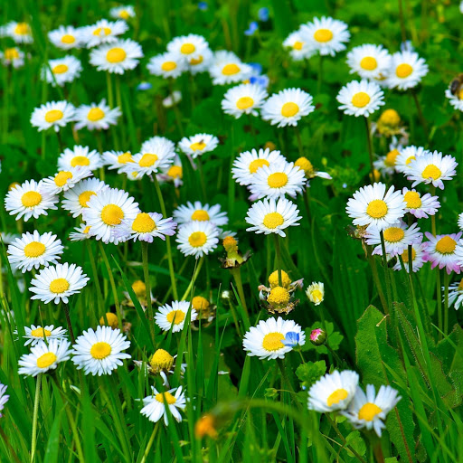 Hd-141763-ascw141763