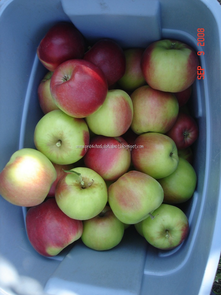 [DSC09510%255B8%255D.jpg]