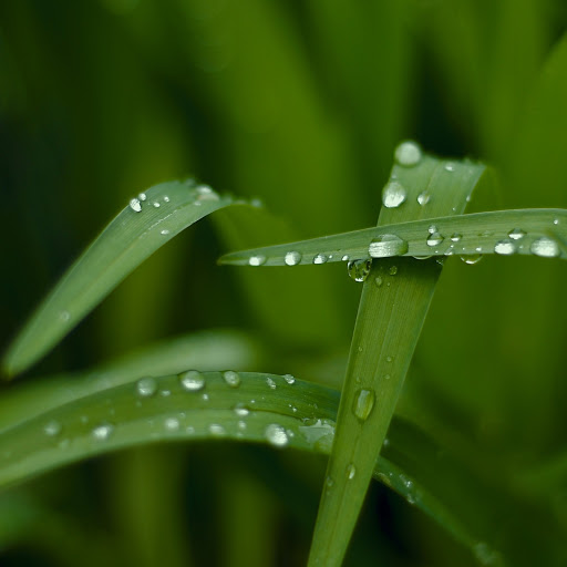 Hd-163720-ascw163720