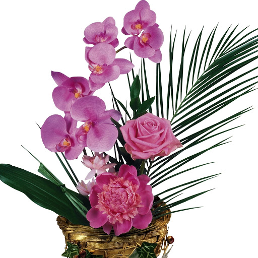 Hd-177908-ascw177908