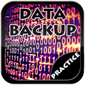 Data Backup icon