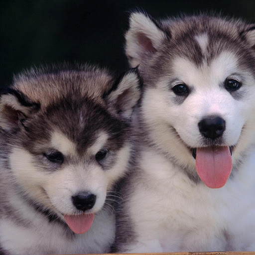 Hd-166235-ascw166235