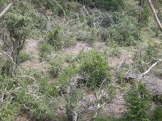 DSCN4385.JPG