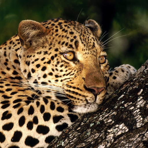 Hd-173797-ascw173797