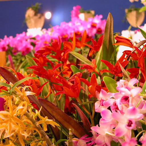 Hd-133049-ascw133049