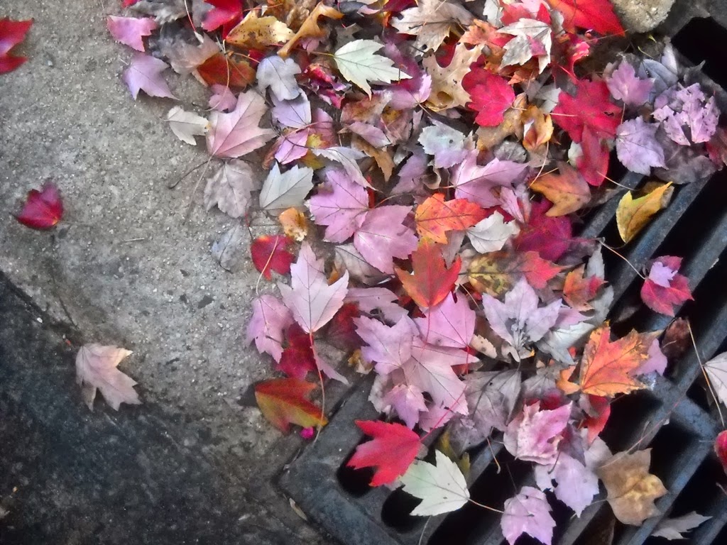 [Draining-Away-autumn-leaves5.jpg]