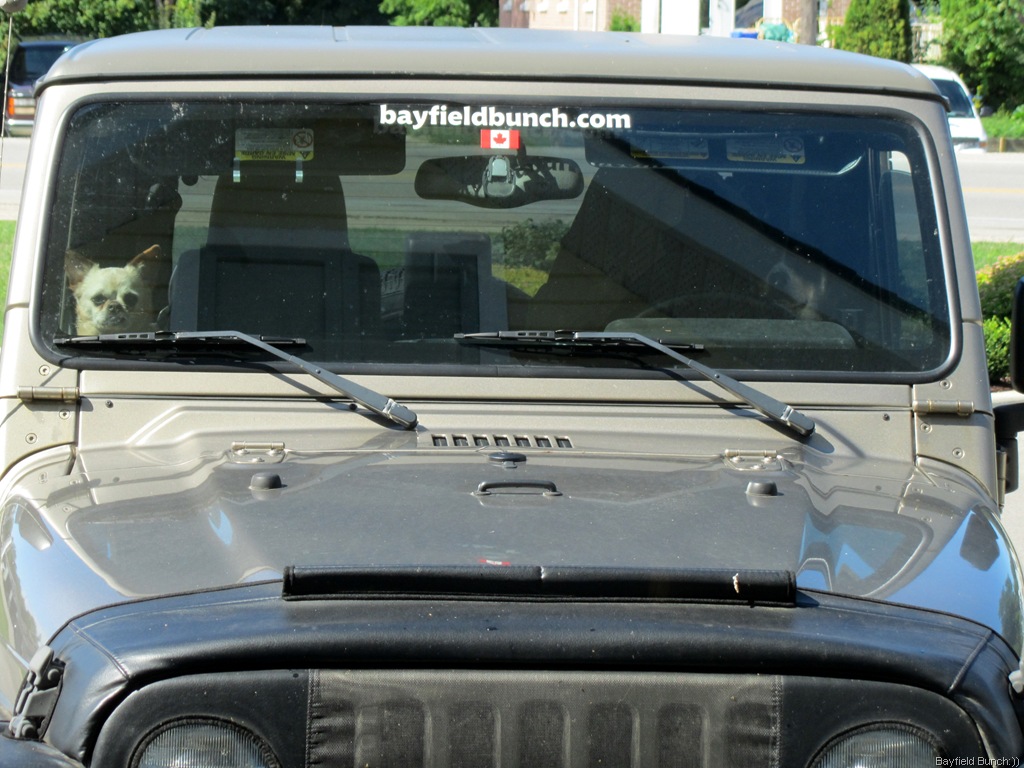 [IMG_0652%255B3%255D.jpg]