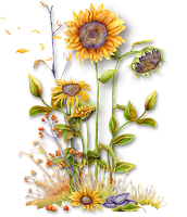 0_7c627_ff472108_XXL%25255B1%25255D.png