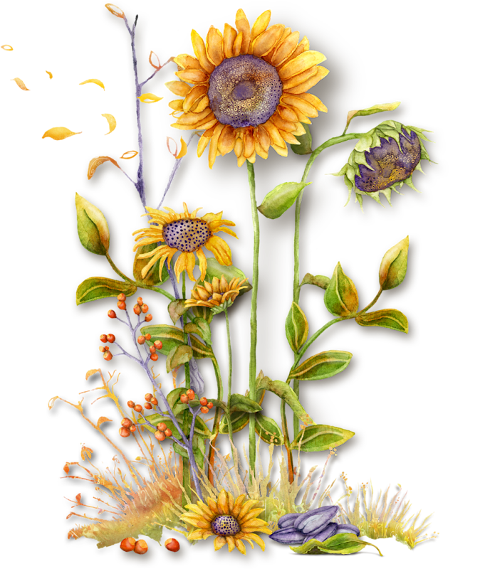 0_7c627_ff472108_XXL%25255B1%25255D.png