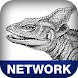 Network Troubleshooting Tools