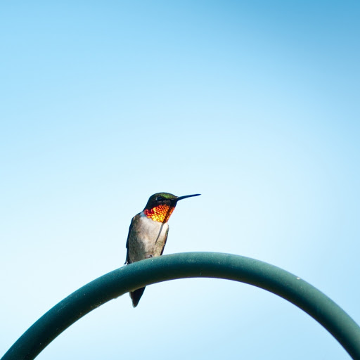 Hd-160439-ascw160439