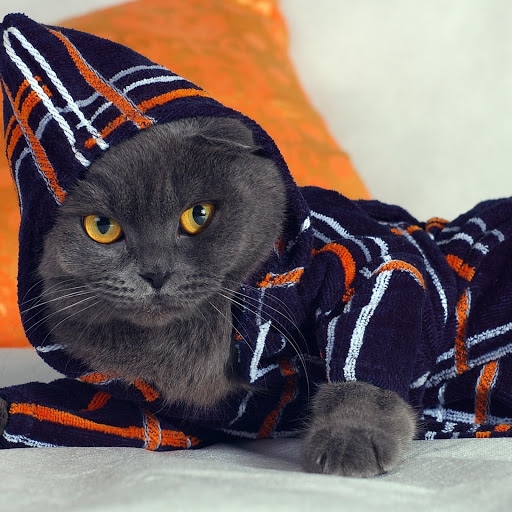 Hd-145259-ascw145259