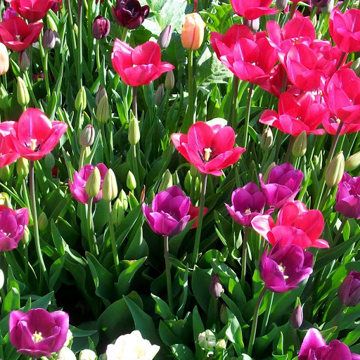 Hd-148278-ascw148278