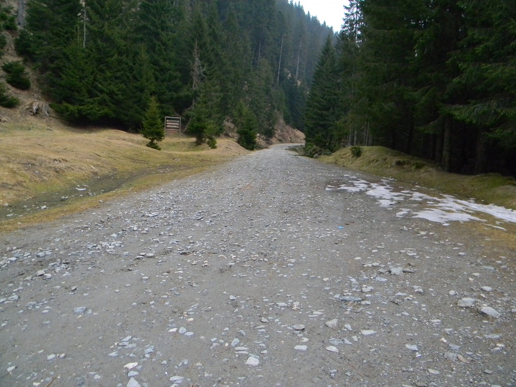[DSCN40493.jpg]