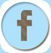 Facebook-Button-1plus1plus11922222