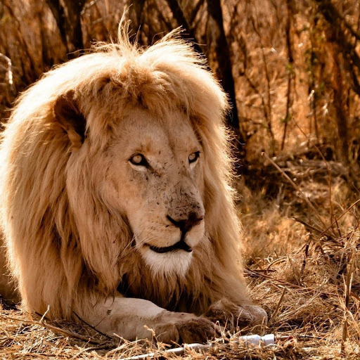 Hd-166106-ascw166106