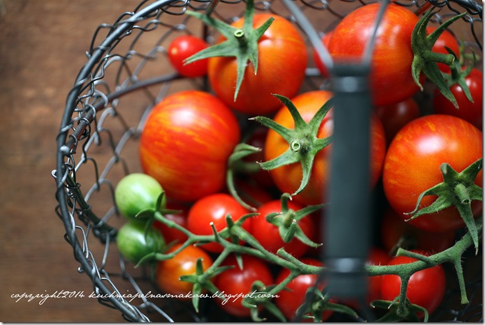 pomidory na tarasie (11)