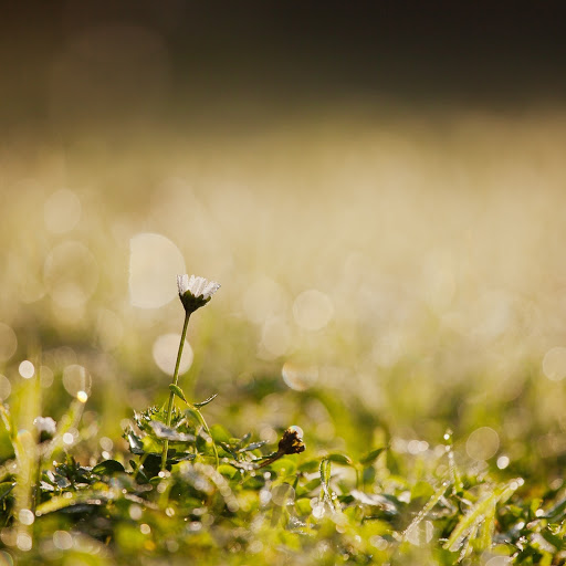 Hd-150773-ascw150773