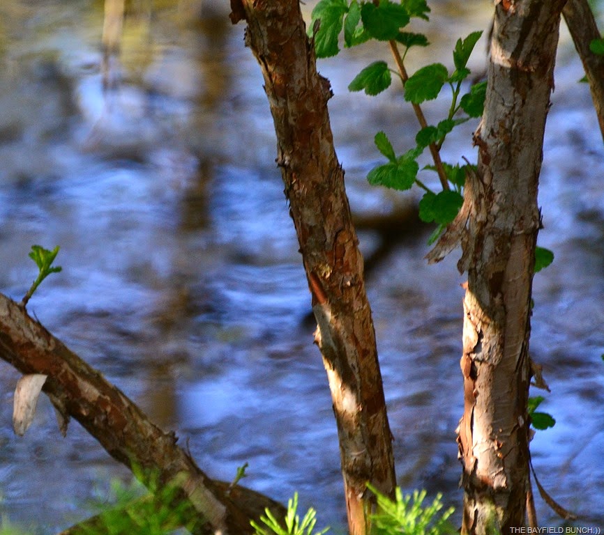 [DSC_0007%255B9%255D.jpg]