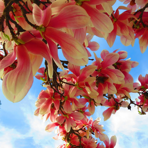 Hd-144913-ascw144913