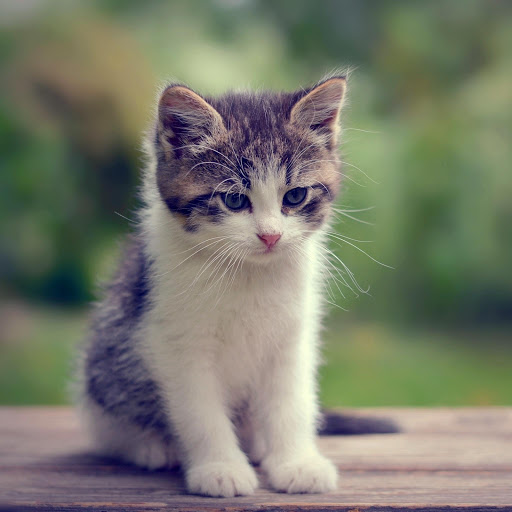 Hd-164482-ascw164482