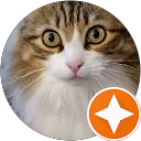 Image Google de Marie Cargoet