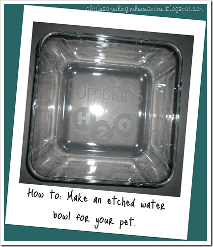 Etched Water Bowl How To