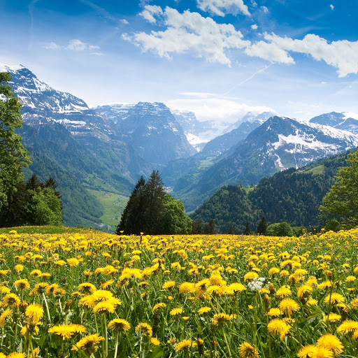 Hd-166667-ascw166667