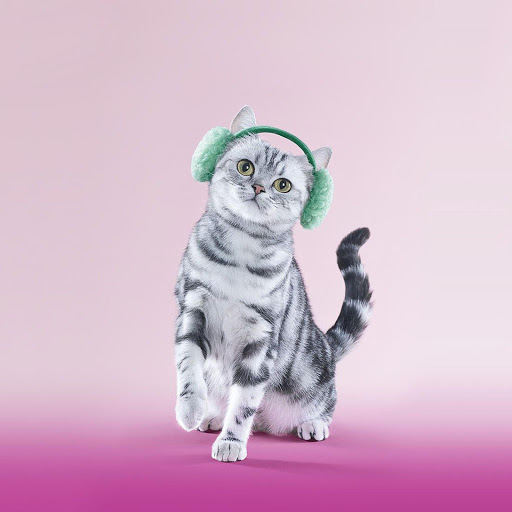 Hd-133051-ascw133051