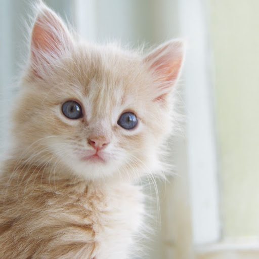 Hd-143831-ascw143831