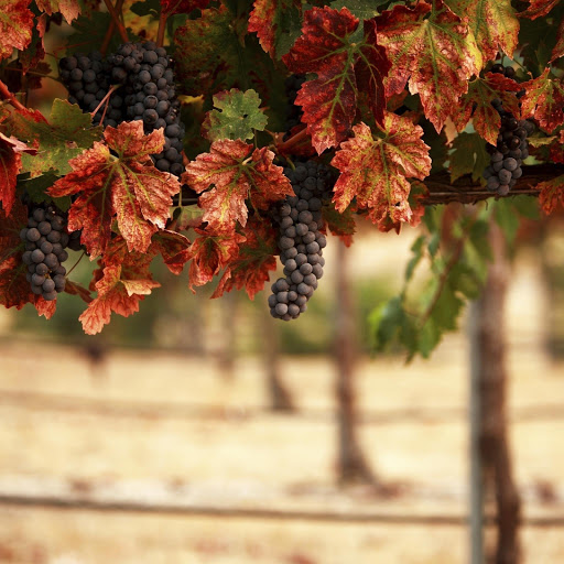 Hd-157235-ascw157235