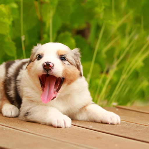 Hd-178080-ascw178080