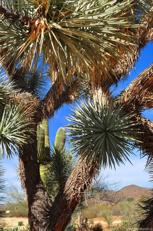 [DSC_0018%255B4%255D.jpg]