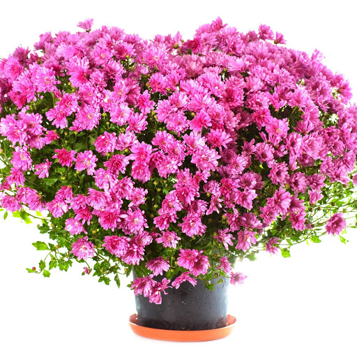 Hd-152254-ascw152254