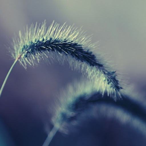 Hd-149782-ascw149782