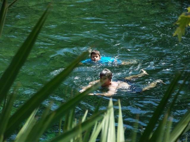 [Springopenforswimming1423.jpg]