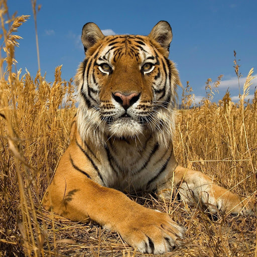 Hd-180369-ascw180369