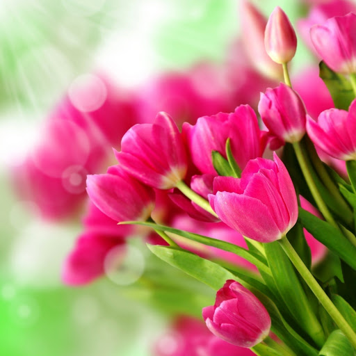 Hd-142022-ascw142022