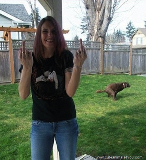 50_Funniest_Animal_Photobombs_Of_All_Time_27